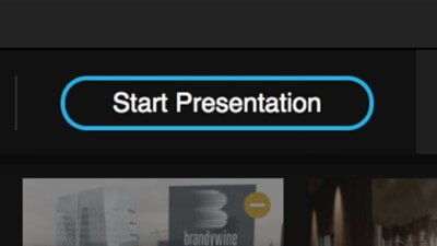 ReviewStudio Presentation Mode