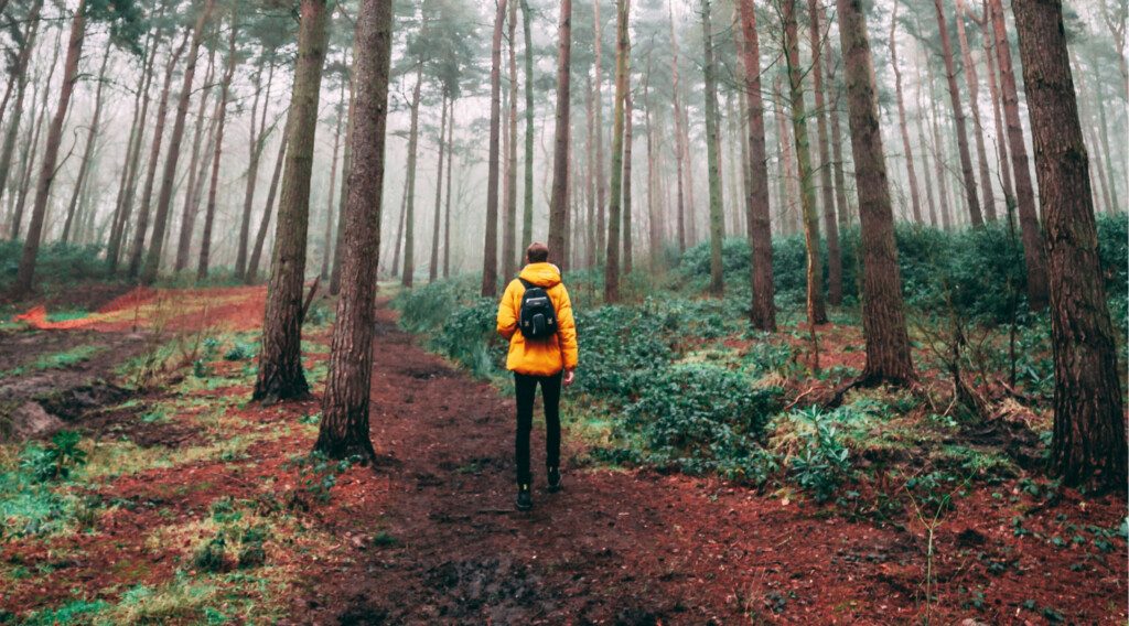 how nature can boost creative thinking with a walk outdoors