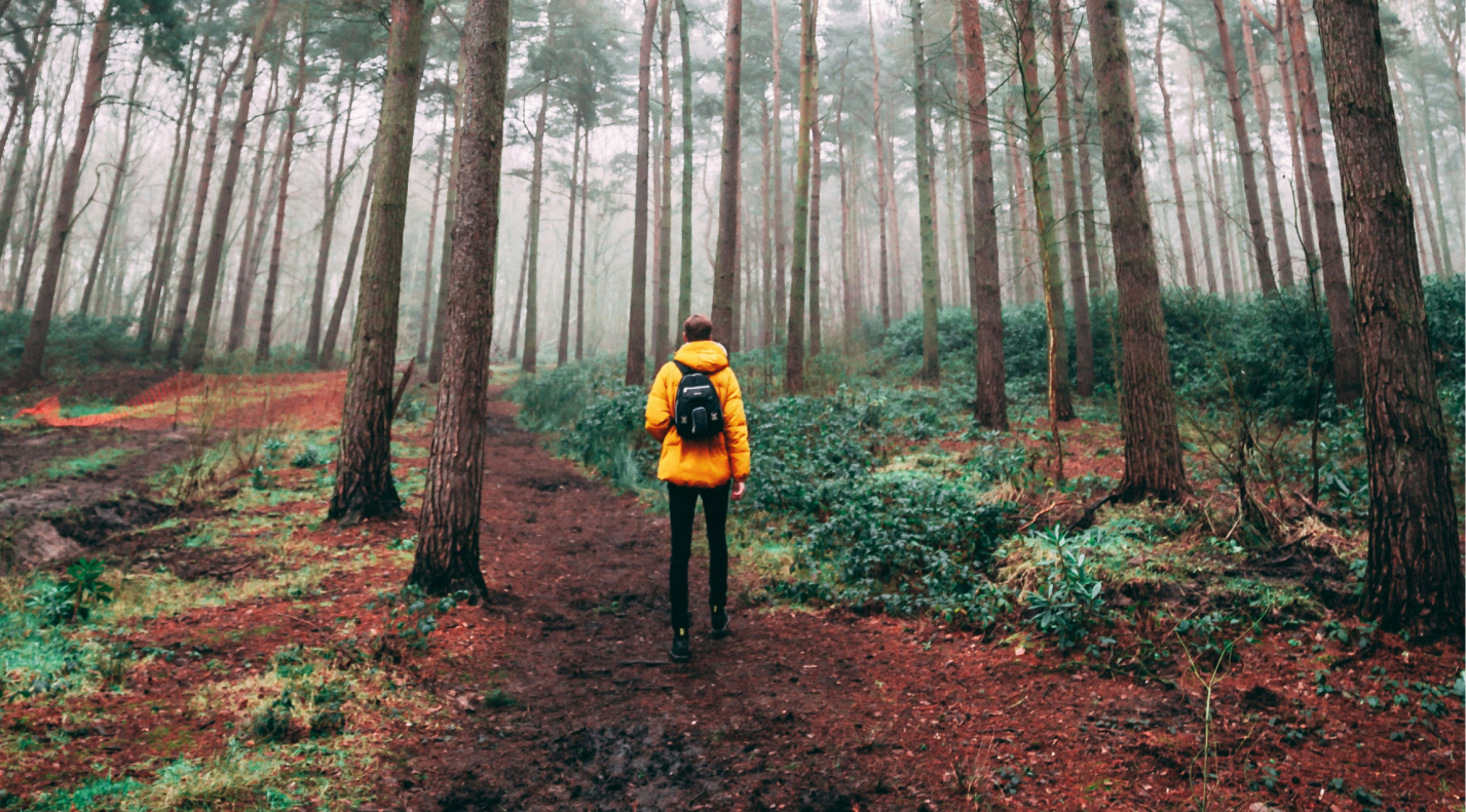 how nature can boost creative thinking with a walk outdoors