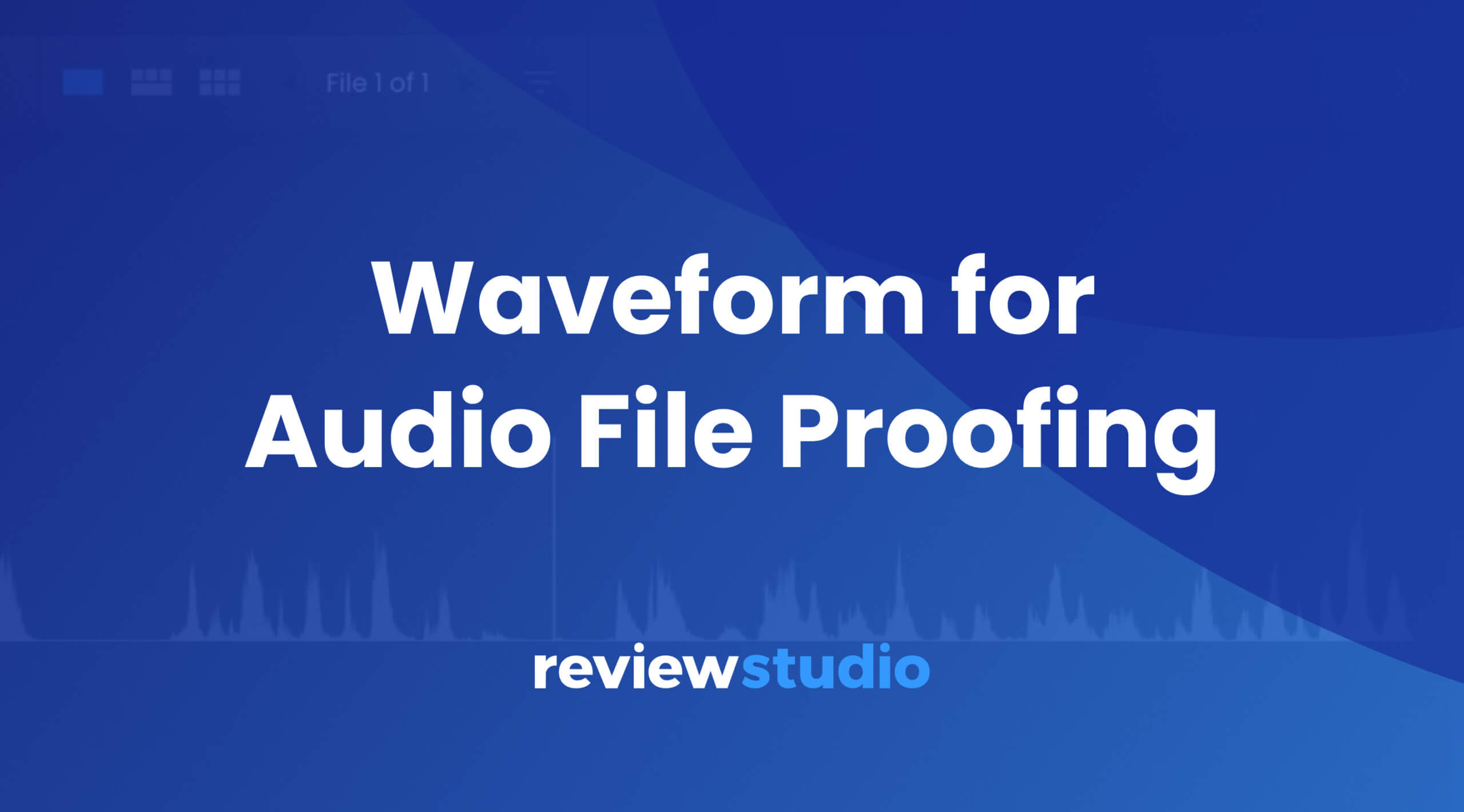 Waveform for reviewing audio files with ReviewStudio