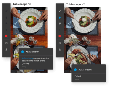 Video annotation software by ReviewStudio