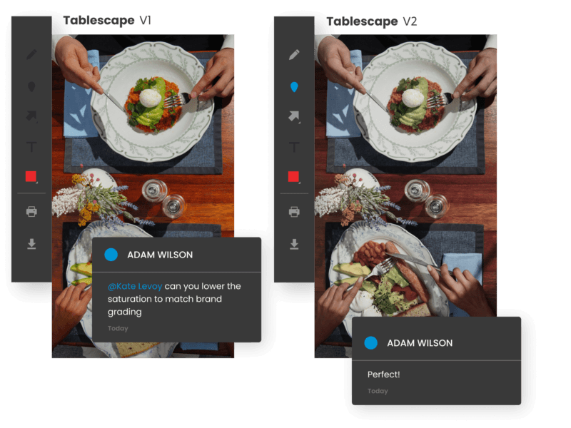 Video annotation software by ReviewStudio